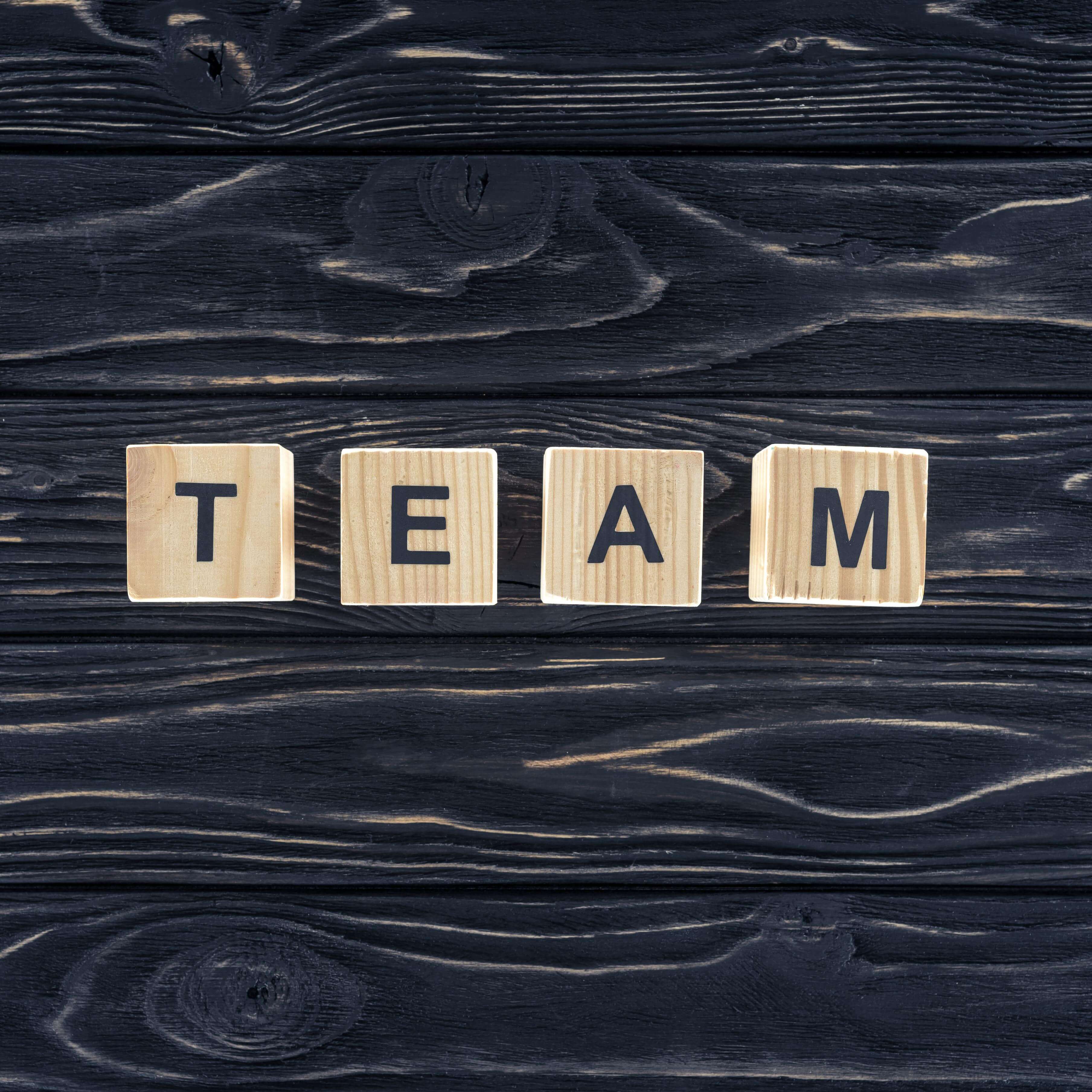 Beheeria team